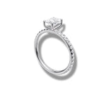 Load image into Gallery viewer, White Gold