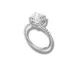 Load image into Gallery viewer, White Gold