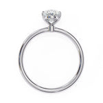 Load image into Gallery viewer, White Gold