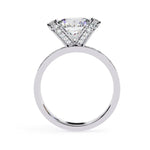 Load image into Gallery viewer, White Gold