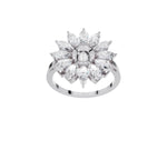 Load image into Gallery viewer, White Gold