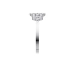 Load image into Gallery viewer, White Gold