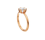 Load image into Gallery viewer, Rose Gold