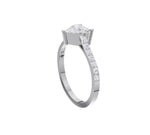 Load image into Gallery viewer, White Gold