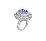 Load image into Gallery viewer, White Gold