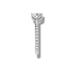 Load image into Gallery viewer, White Gold
