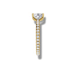 Load image into Gallery viewer, Yellow Gold
