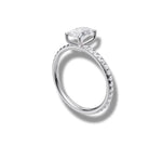 Load image into Gallery viewer, White Gold

