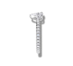 Load image into Gallery viewer, White Gold
