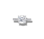 Load image into Gallery viewer, White Gold
