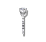 Load image into Gallery viewer, White Gold
