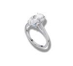 Load image into Gallery viewer, White Gold
