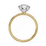 Load image into Gallery viewer, Yellow Gold
