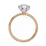 Load image into Gallery viewer, Rose Gold
