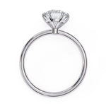Load image into Gallery viewer, White Gold
