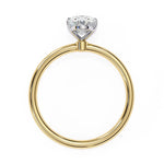 Load image into Gallery viewer, Yellow Gold
