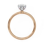 Load image into Gallery viewer, Rose Gold
