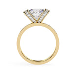 Load image into Gallery viewer, Yellow Gold
