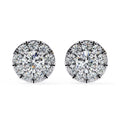 0.6 Ct Aurora Halo Studs