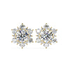 0.8 Ct Stellar Shine Halo Studs