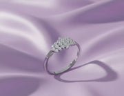 The Diamond Dust Band