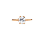 Load image into Gallery viewer, Rose Gold
