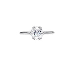 Load image into Gallery viewer, White Gold
