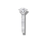 Load image into Gallery viewer, White Gold
