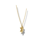 Load image into Gallery viewer, Yellow Gold
