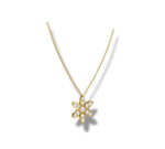 Load image into Gallery viewer, Yellow Gold
