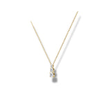 Load image into Gallery viewer, Yellow Gold
