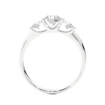 Load image into Gallery viewer, White Gold
