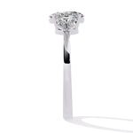 Load image into Gallery viewer, White Gold
