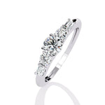 Load image into Gallery viewer, White Gold
