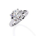 Load image into Gallery viewer, White Gold
